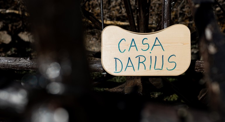 Pension Pensiunea Casa Darius Cluj Cluj-Napoca