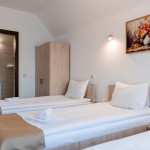 Pension Pensiunea Casa Darius Cluj Cluj-Napoca
