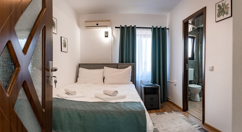 Pension Pensiunea Casa Darius Cluj Cluj-Napoca