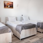 Pension Pensiunea Casa Darius Cluj Cluj-Napoca