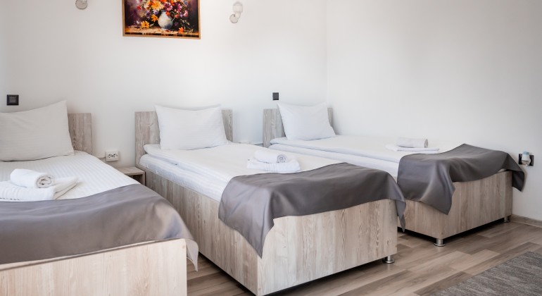 Pension Pensiunea Casa Darius Cluj Cluj-Napoca