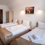 Pension Pensiunea Casa Darius Cluj Cluj-Napoca